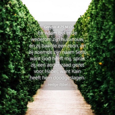 Picture 04 - Genesis 4:25 NLD - En Adam bekende wederom zijn huisvrouw, en zij - Bible Verse Picture