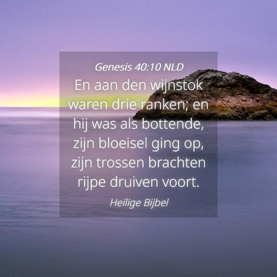 Picture 04 - Genesis 40:10 NLD - En aan den wijnstok waren drie ranken; en hij was - Bible Verse Picture