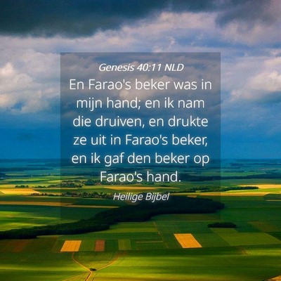 Picture 04 - Genesis 40:11 NLD - En Farao's beker was in mijn hand; en ik nam die - Bible Verse Picture