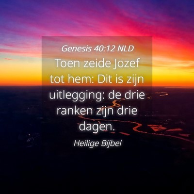 Picture 04 - Genesis 40:12 NLD - Toen zeide Jozef tot hem: Dit is zijn uitlegging: - Bible Verse Picture