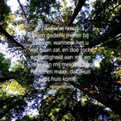 Picture 04 - Genesis 40:14 NLD - Doch gedenk mijner bij uzelven, wanneer het u wel - Bible Verse Picture