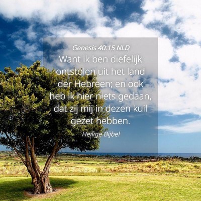 Picture 04 - Genesis 40:15 NLD - Want ik ben diefelijk ontstolen uit het land der - Bible Verse Picture