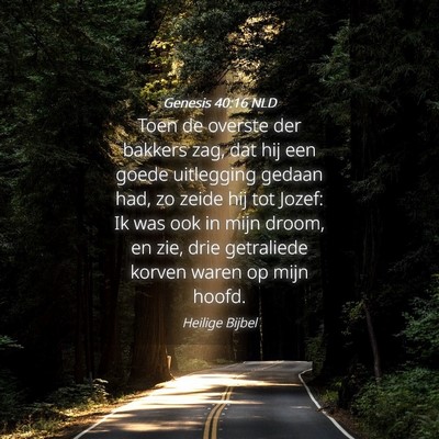 Picture 04 - Genesis 40:16 NLD - Toen de overste der bakkers zag, dat hij een - Bible Verse Picture