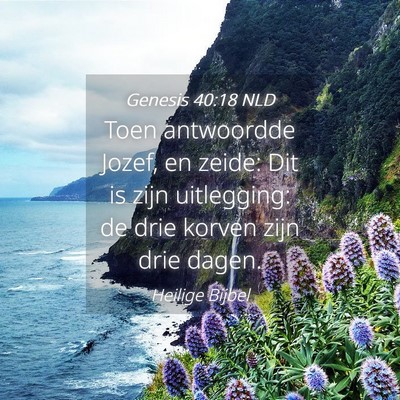 Picture 04 - Genesis 40:18 NLD - Toen antwoordde Jozef, en zeide: Dit is zijn - Bible Verse Picture