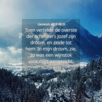 Picture 04 - Genesis 40:9 NLD - Toen vertelde de overste der schenkers Jozef zijn - Bible Verse Picture