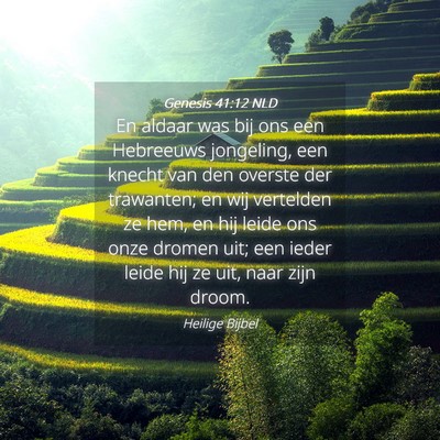 Picture 04 - Genesis 41:12 NLD - En aldaar was bij ons een Hebreeuws jongeling, - Bible Verse Picture