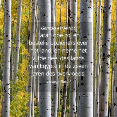 Picture 04 - Genesis 41:34 NLD - Farao doe zo, en bestelle opzieners over het - Bible Verse Picture