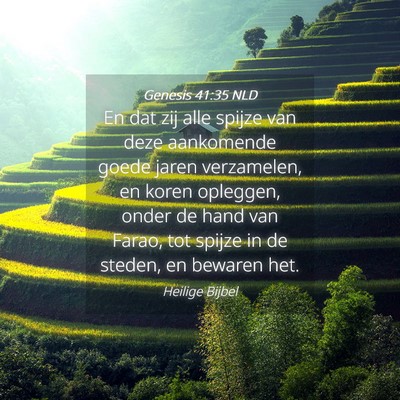Picture 04 - Genesis 41:35 NLD - En dat zij alle spijze van deze aankomende goede - Bible Verse Picture