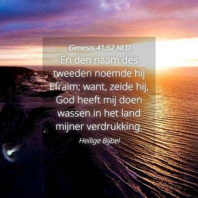 Picture 04 - Genesis 41:52 NLD - En den naam des tweeden noemde hij Efraim; want, - Bible Verse Picture