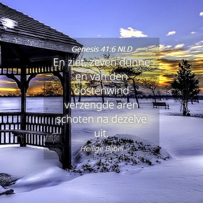 Picture 04 - Genesis 41:6 NLD - En ziet, zeven dunne en van den oostenwind - Bible Verse Picture
