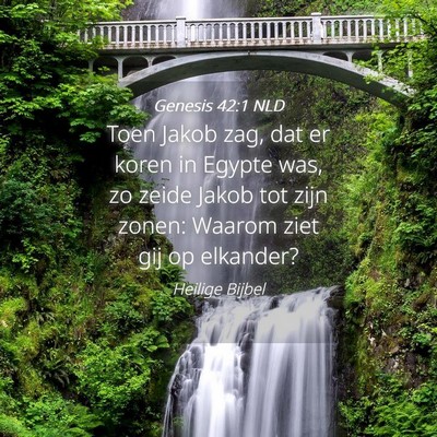 Picture 04 - Genesis 42:1 NLD - Toen Jakob zag, dat er koren in Egypte was, zo - Bible Verse Picture