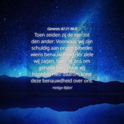 Picture 04 - Genesis 42:21 NLD - Toen zeiden zij de een tot den ander: Voorwaar, - Bible Verse Picture
