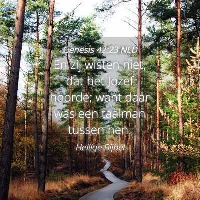 Picture 04 - Genesis 42:23 NLD - En zij wisten niet, dat het Jozef hoorde; want - Bible Verse Picture