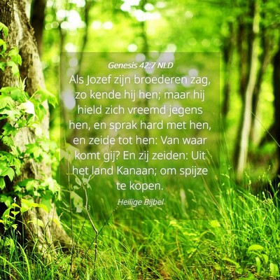 Picture 04 - Genesis 42:7 NLD - Als Jozef zijn broederen zag, zo kende hij hen; - Bible Verse Picture