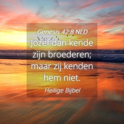 Picture 04 - Genesis 42:8 NLD - Jozef dan kende zijn broederen; maar zij kenden - Bible Verse Picture