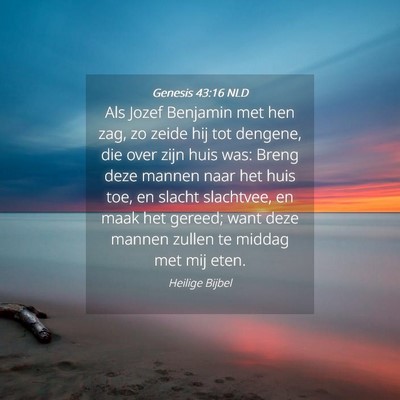 Picture 04 - Genesis 43:16 NLD - Als Jozef Benjamin met hen zag, zo zeide hij tot - Bible Verse Picture