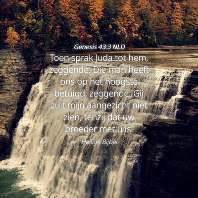 Picture 04 - Genesis 43:3 NLD - Toen sprak Juda tot hem, zeggende: Die man heeft - Bible Verse Picture