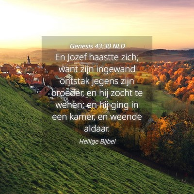 Picture 04 - Genesis 43:30 NLD - En Jozef haastte zich; want zijn ingewand ontstak - Bible Verse Picture