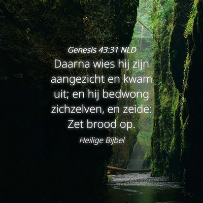 Picture 04 - Genesis 43:31 NLD - Daarna wies hij zijn aangezicht en kwam uit; en - Bible Verse Picture