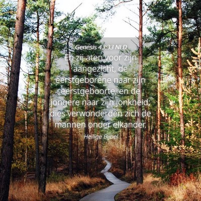 Picture 04 - Genesis 43:33 NLD - En zij aten voor zijn aangezicht, de - Bible Verse Picture