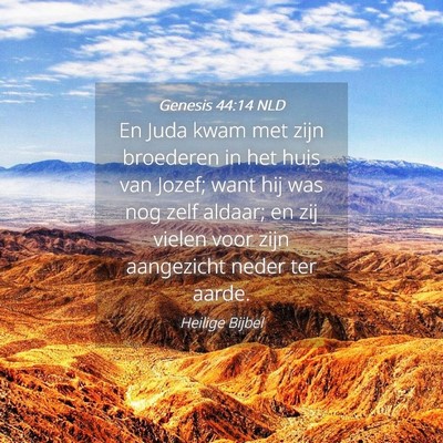 Picture 04 - Genesis 44:14 NLD - En Juda kwam met zijn broederen in het huis van - Bible Verse Picture