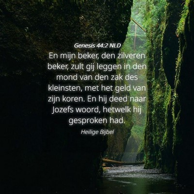 Picture 04 - Genesis 44:2 NLD - En mijn beker, den zilveren beker, zult gij - Bible Verse Picture