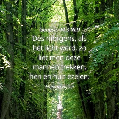 Picture 04 - Genesis 44:3 NLD - Des morgens, als het licht werd, zo liet men deze - Bible Verse Picture