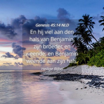 Picture 04 - Genesis 45:14 NLD - En hij viel aan den hals van Benjamin, zijn - Bible Verse Picture