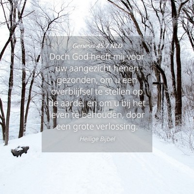 Picture 04 - Genesis 45:7 NLD - Doch God heeft mij voor uw aangezicht henen - Bible Verse Picture