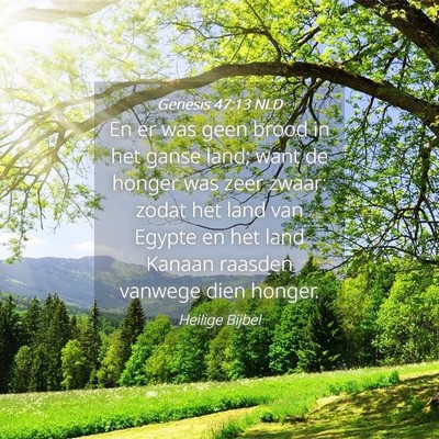 Picture 04 - Genesis 47:13 NLD - En er was geen brood in het ganse land; want de - Bible Verse Picture