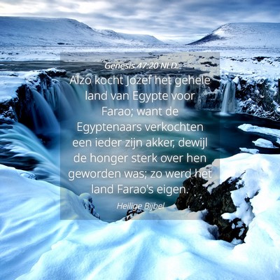 Picture 04 - Genesis 47:20 NLD - Alzo kocht Jozef het gehele land van Egypte voor - Bible Verse Picture