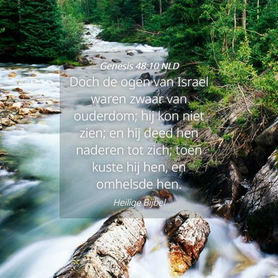 Picture 04 - Genesis 48:10 NLD - Doch de ogen van Israel waren zwaar van ouderdom; - Bible Verse Picture
