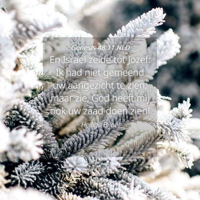 Picture 04 - Genesis 48:11 NLD - En Israel zeide tot Jozef: Ik had niet gemeend uw - Bible Verse Picture