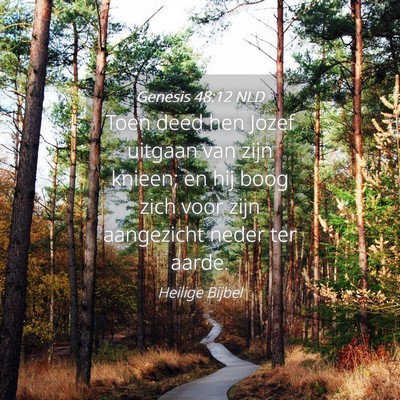 Picture 04 - Genesis 48:12 NLD - Toen deed hen Jozef uitgaan van zijn knieen; en - Bible Verse Picture