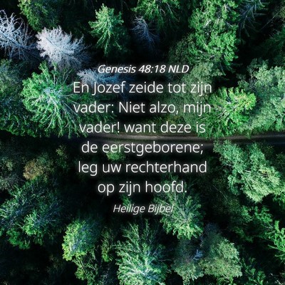 Picture 04 - Genesis 48:18 NLD - En Jozef zeide tot zijn vader: Niet alzo, mijn - Bible Verse Picture