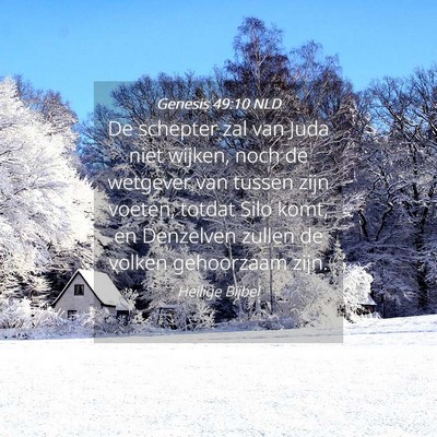 Picture 04 - Genesis 49:10 NLD - De schepter zal van Juda niet wijken, noch de - Bible Verse Picture