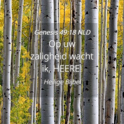 Picture 04 - Genesis 49:18 NLD - Op uw zaligheid wacht ik, - Bible Verse Picture