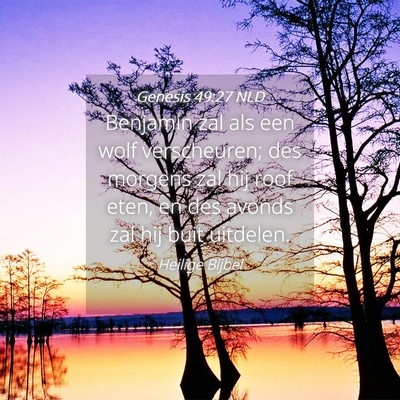 Picture 04 - Genesis 49:27 NLD - Benjamin zal als een wolf verscheuren; des - Bible Verse Picture