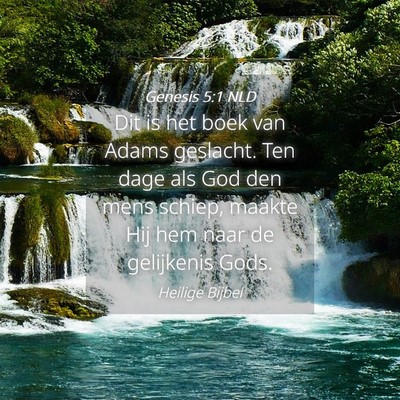 Picture 04 - Genesis 5:1 NLD - Dit is het boek van Adams geslacht. Ten dage als - Bible Verse Picture