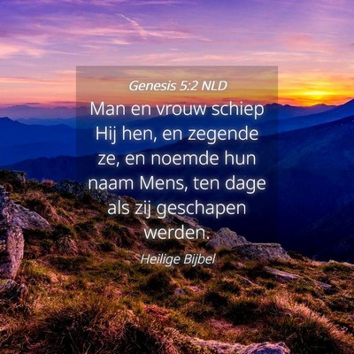 Picture 04 - Genesis 5:2 NLD - Man en vrouw schiep Hij hen, en zegende ze, en - Bible Verse Picture