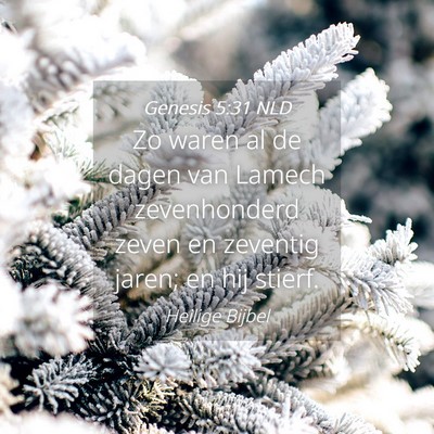 Picture 04 - Genesis 5:31 NLD - Zo waren al de dagen van Lamech zevenhonderd - Bible Verse Picture
