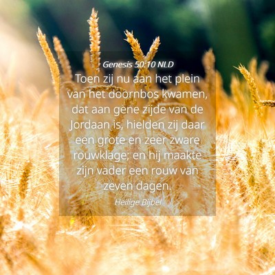 Picture 04 - Genesis 50:10 NLD - Toen zij nu aan het plein van het doornbos - Bible Verse Picture
