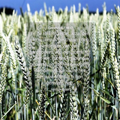 Picture 04 - Genesis 6:7 NLD - En de HEERE zeide: Ik zal den mens, dien Ik - Bible Verse Picture