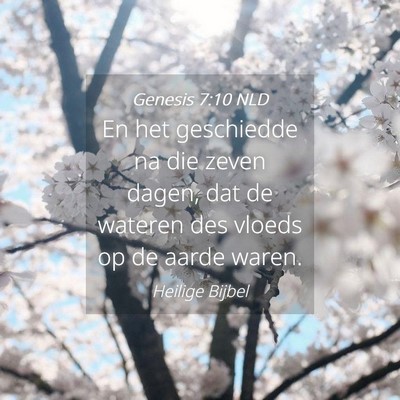Picture 04 - Genesis 7:10 NLD - En het geschiedde na die zeven dagen, dat de - Bible Verse Picture