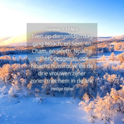 Picture 04 - Genesis 7:13 NLD - Even op dienzelfden dag ging Noach, en Sem, en - Bible Verse Picture