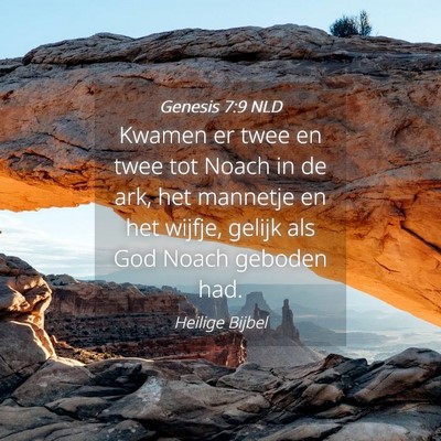 Picture 04 - Genesis 7:9 NLD - Kwamen er twee en twee tot Noach in de ark, het - Bible Verse Picture