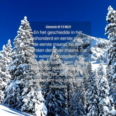 Picture 04 - Genesis 8:13 NLD - En het geschiedde in het zeshonderd en eerste - Bible Verse Picture