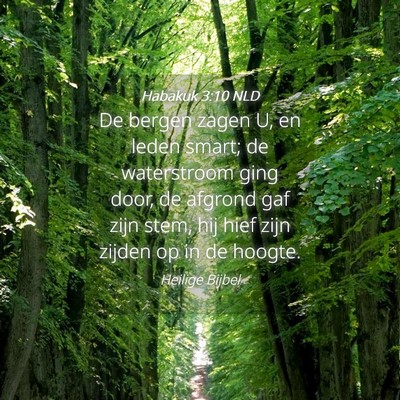 Picture 04 - Habakuk 3:10 NLD - De bergen zagen U, en leden smart; de waterstroom - Bible Verse Picture