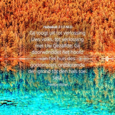 Picture 04 - Habakuk 3:13 NLD - Gij toogt uit tot verlossing Uws volks, tot - Bible Verse Picture