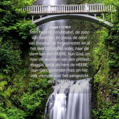 Picture 04 - Haggaï 1:12 NLD - Toen hoorde Zerubbabel, de zoon van Sealthiel, en - Bible Verse Picture